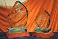 Trofeo Viri Irregular Cristal Madera