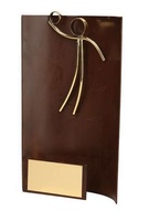 Trofeo balonmano rectangular