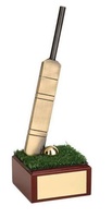 Trofeo críquet bate
