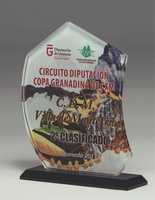 Trofeo de cristal impresion todo color Lenito