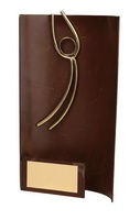 Trofeo fútbol rectangular aplique portero