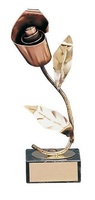 Trofeo flores rosas