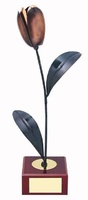 Trofeo flores tulipán