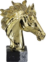 Trofeo hípica de caballo