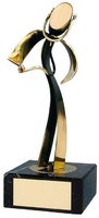 Trofeo médico/a