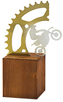 Trofeo motorista metalizado