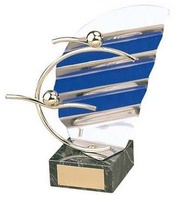 Trofeo natación competición