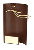 Trofeo natación rectangular