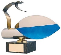 Trofeo natación salida