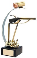 Trofeo tiro escopeta caza
