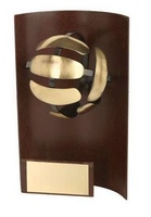 Trofeo voleibol rectangular