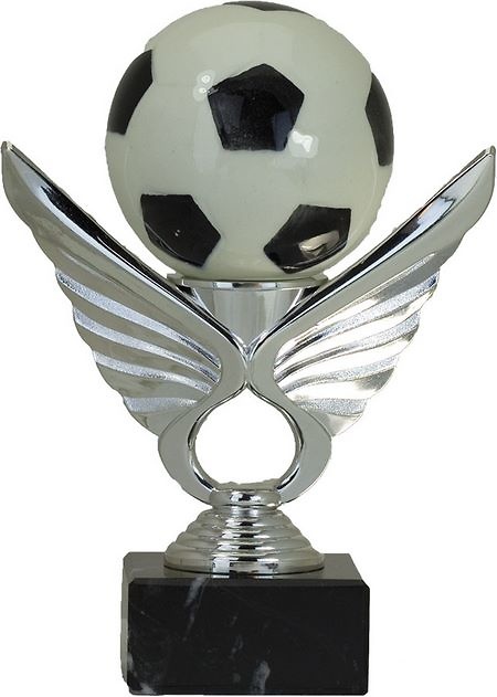 Trofeo Never Futbol 