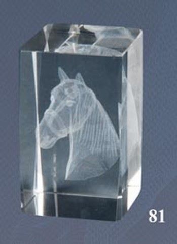Trofeo de Hipica, caballos Lozoya cubo de cristal 