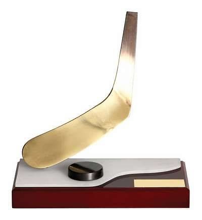 Trofeo hockey hielo disco y stick 