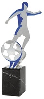 Trofeo Anllo de Futbol