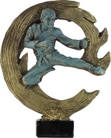 Trofeo Campan Karate