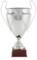 Trofeo Reproducción Copa de Europa de Fútbol