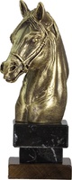 Trofeo hipica de caballo